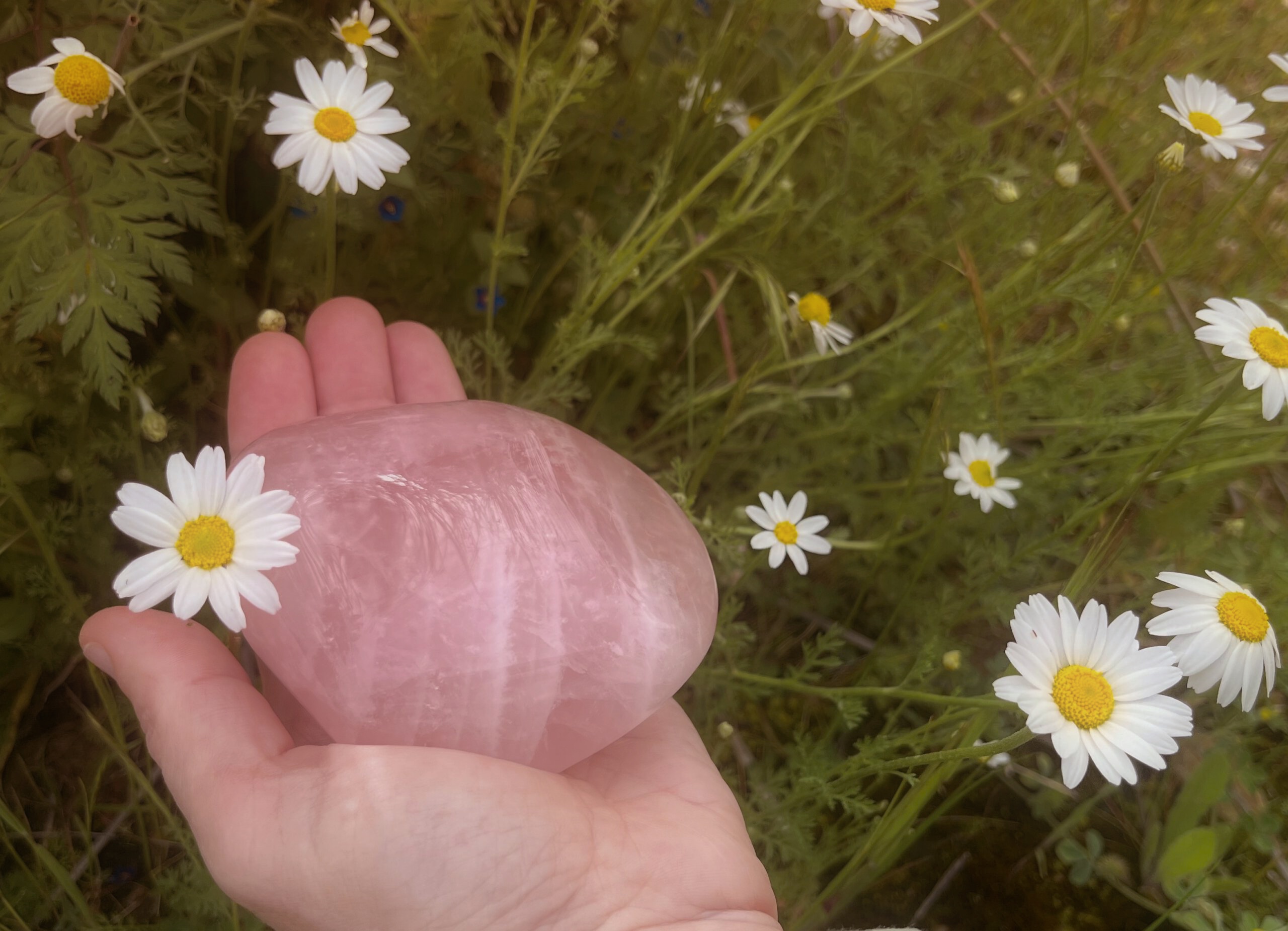 CuarzoRosaYMargaritas2